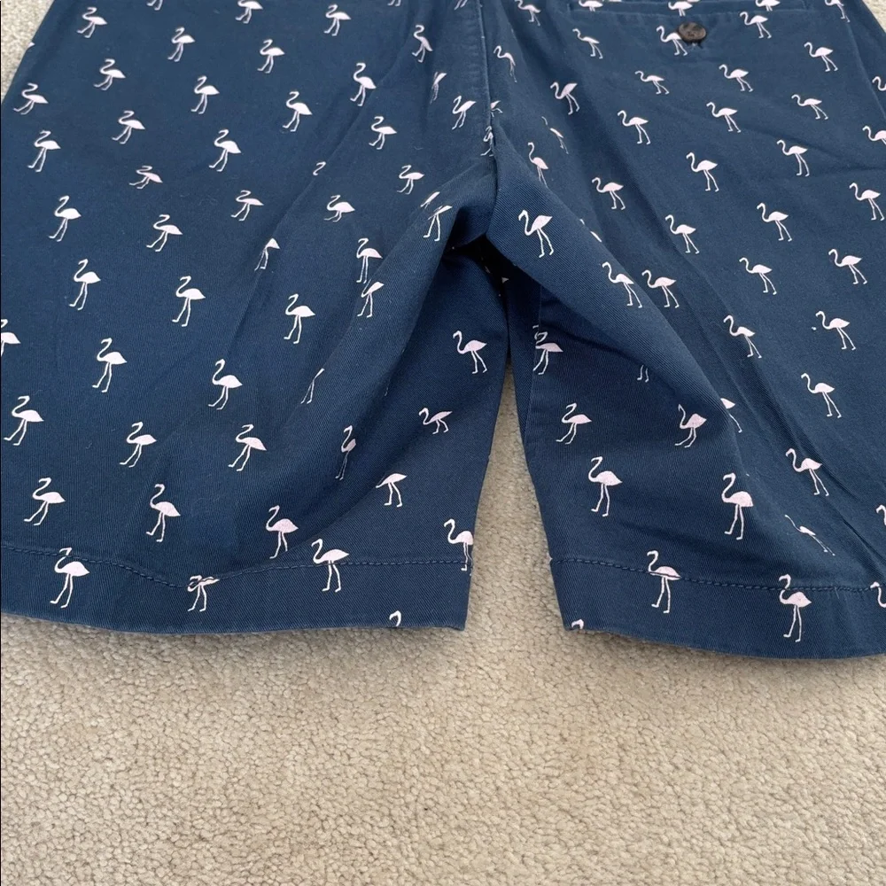 J. Crew Shorts